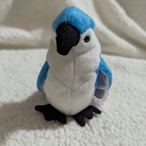 Rocket the blue jay ty